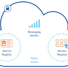 net.maritimeconnectivity.mrn