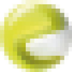 fr.everwin.open.api