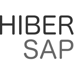 org.hibersap