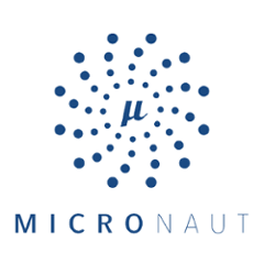 io.micronaut.build.internal.dependency-updates
