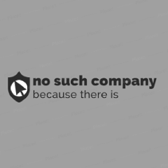 io.github.no-such-company
