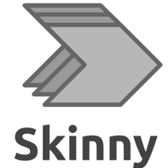 org.skinny-framework
