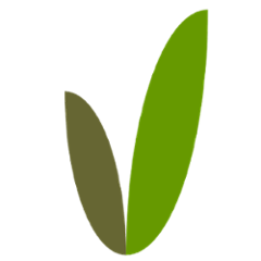 org.vanilladb